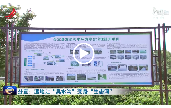 江西衛(wèi)視：濕地讓“臭水溝”變身“生態(tài)河”