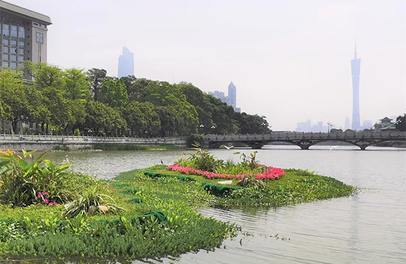 湖泊環(huán)境治理達至人水和諧的技術(shù)思路｜廣州東山湖生態(tài)修復(fù)訪談錄