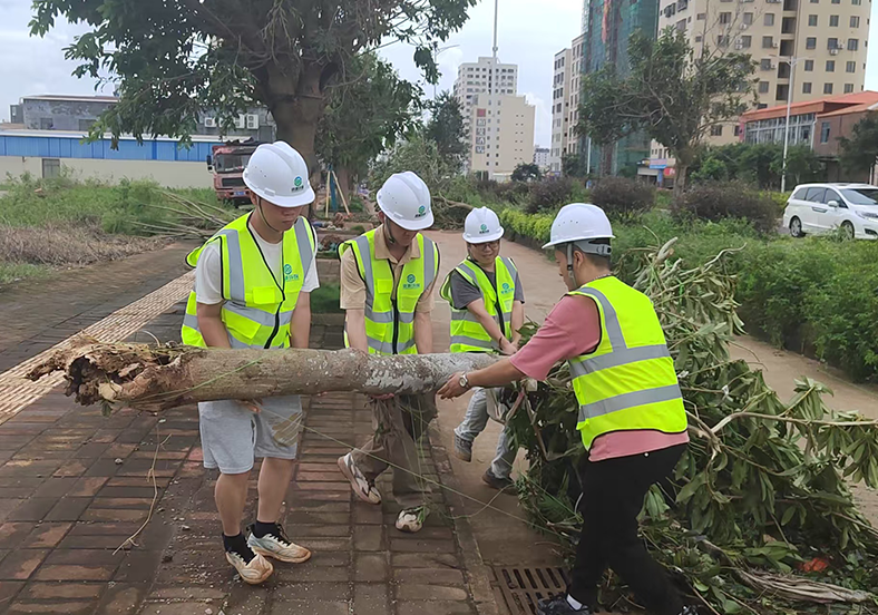 臺風后的溫暖力量！我司助力徐聞縣清障，獲新華社關(guān)注！