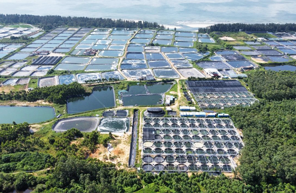 我司中標(biāo)陽江市陽西縣海水養(yǎng)殖尾水治理示范項(xiàng)目的設(shè)計(jì)服務(wù)