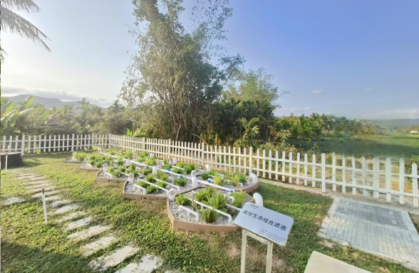 《海南日報》三亞采用新理念、新技術(shù)治理農(nóng)村污水 污水變清流 村莊潔凈美